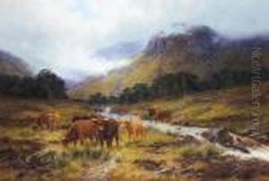 Highland Burn Highland Burn