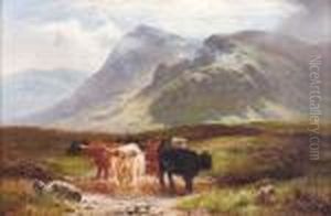 A Highland Drove
