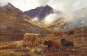 A Passing Shower