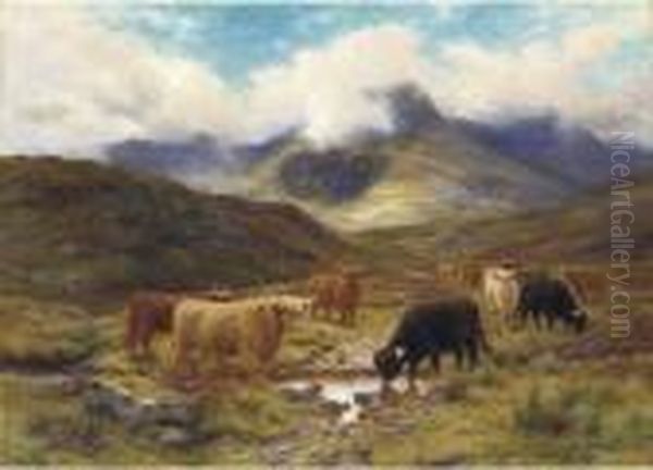Cattle In The Highlands - view 1