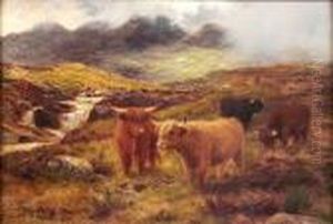 Highland Cattle In A Misty Mountain Landscape