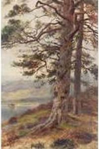 The Great Scots Pine by Louis Bosworth Hurt