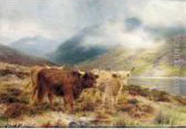 The Lochan - view 1