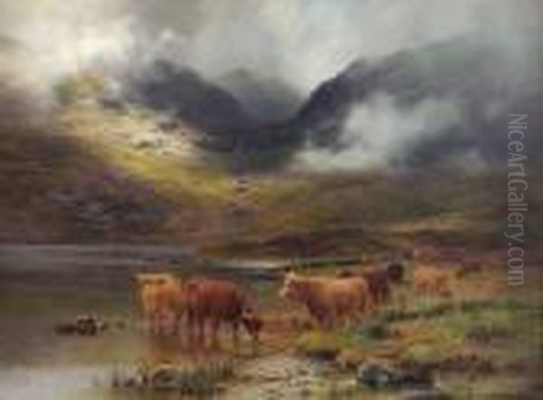 Highland Cattle Watering - view 1