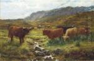 Afternoon On A Perthshire Moorland