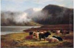 Evening In The Highlands