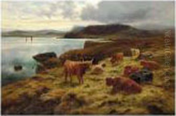 On The Cliffs At Shetland - view 1