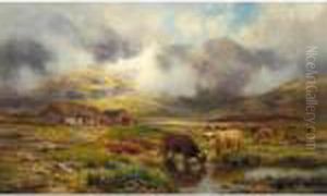 Highland Cattle In A Landscape