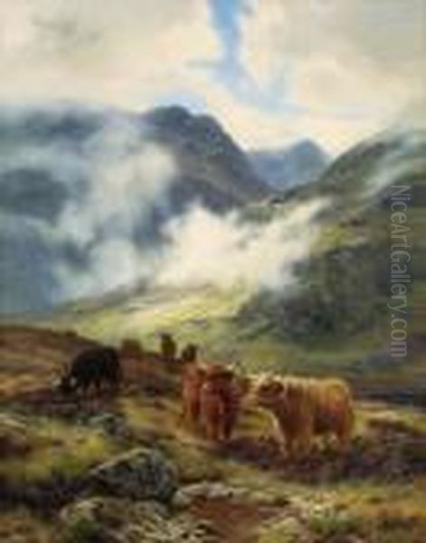 Highland Cattle Grazing - view 1