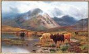 Near The Black Mount Forest, Argyll