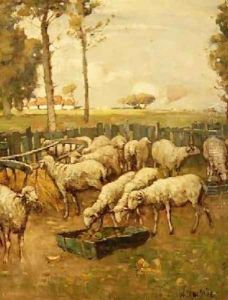 The Sheep Fold by William McBride