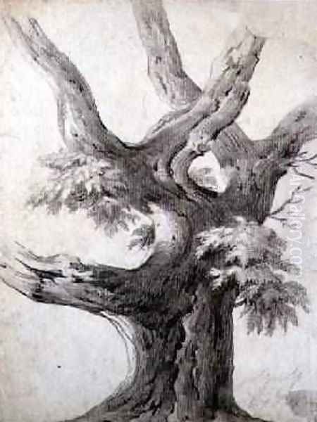 Study of a Tree 1823 - view 1
