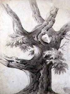 Study of a Tree 1823 by Alphonse Nicolas Michel Mandevare