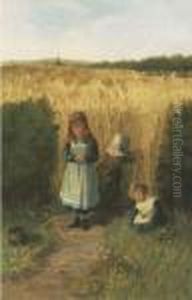 A Nook In A Cornfield