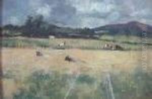 Quiet Pastures Quiet Pastures