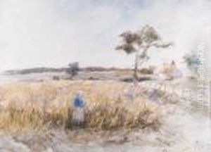 Cornfield At Panbride, Carnoustie Cornfield At Panbride, Carnoustie