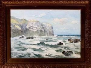 A Rocky Coast With Seagulls Nesting On The Cliffs by Thomas Swift Hutton