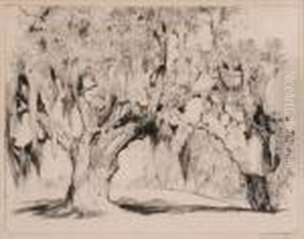 Yeomans Oak - view 1