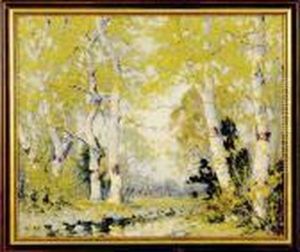 Dappled Sunlight