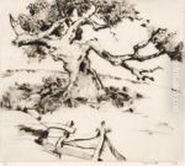 In An Old Orchard - view 1
