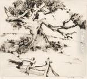In An Old Orchard