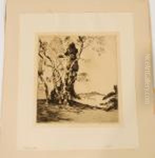 Hill Country - view 1