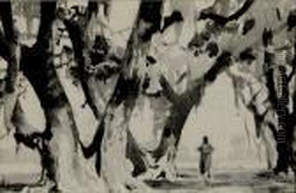 Two Live Oaks - view 1