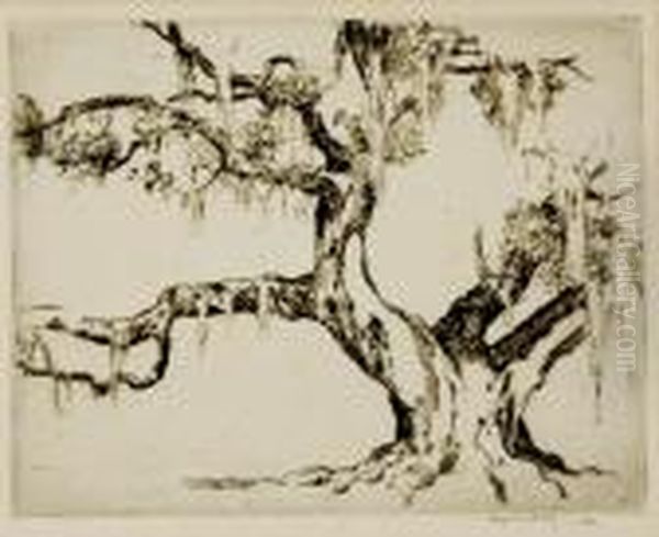 Live Oak With Moss Charleston Lowcountry - view 1
