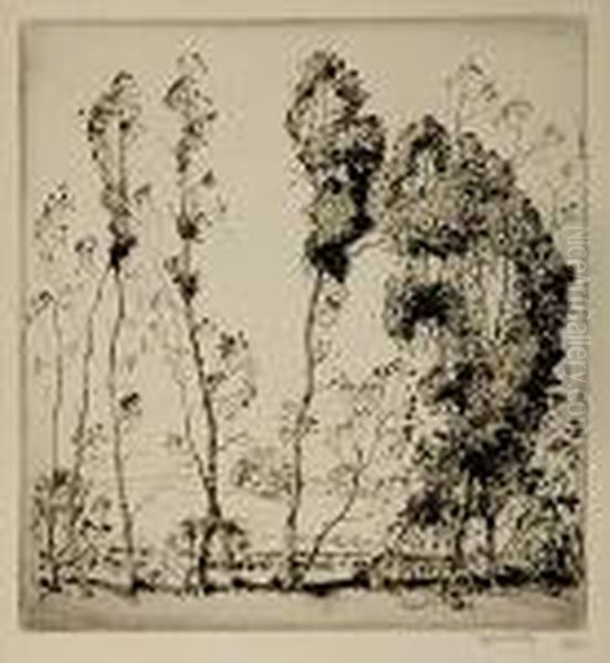 Pines In Landscape - view 1