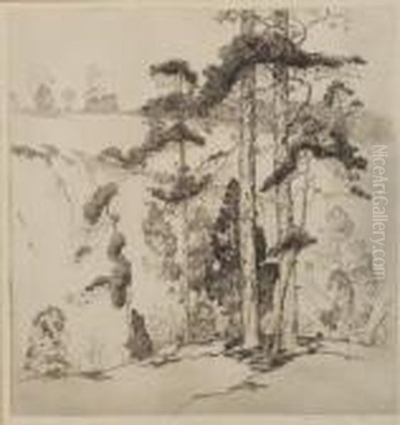 Cluster Of Southern Pines - view 1