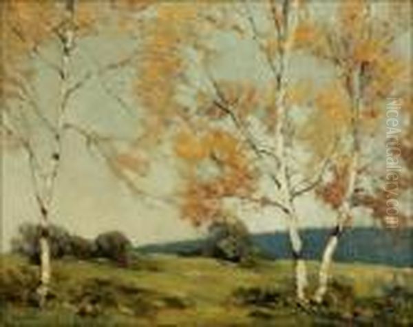 Birch Trees In Summer Landscape - view 1