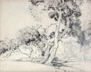 Old Sycamores by Alfred Heber Hutty