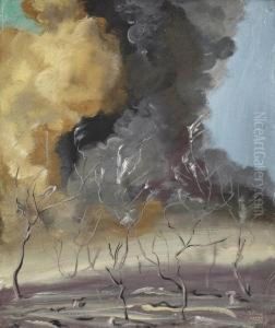 Fire In The Bush At Yalinga