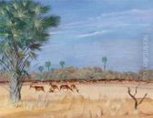Antilopes Koba (am-dafok) Tchad