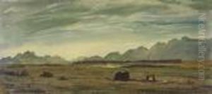 A Desert Landscape