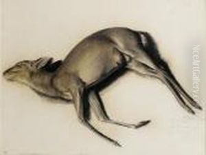 Study Of A Musk Deer by Alexander Evgenievich Yakovlev