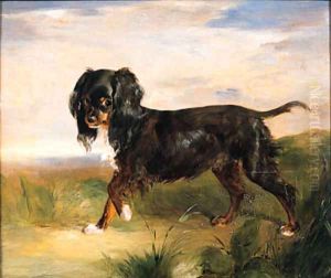 Portrait of a King Charles Spaniel in a Landscape