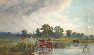 Cattle watering beside a River with a view of a Church Spire beyond by John MacPherson