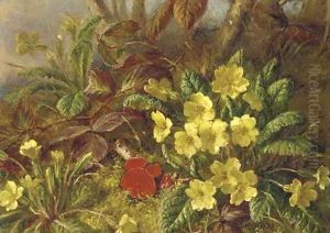 Primroses and brambles