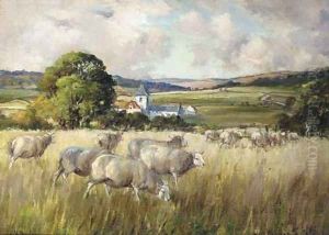 Sheep grazing