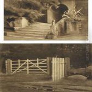 Gate In The Wood