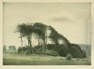 Landschaft Bei Fredensborg