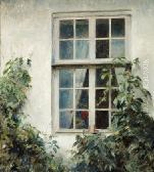 Virginia Creeper Around A Window At Liselund - view 1