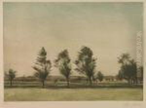Landscape In Falster Landscape In Falster