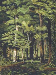 A Brazilian jungle by William Michaud