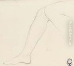 Study Of A Right Leg With Part Of The Left Knee