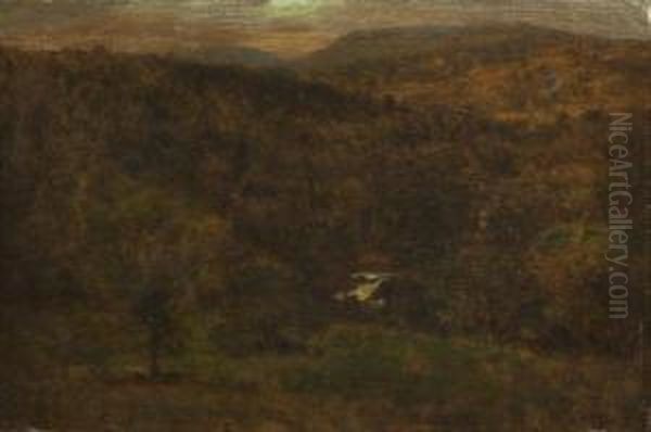 Landscape - view 1