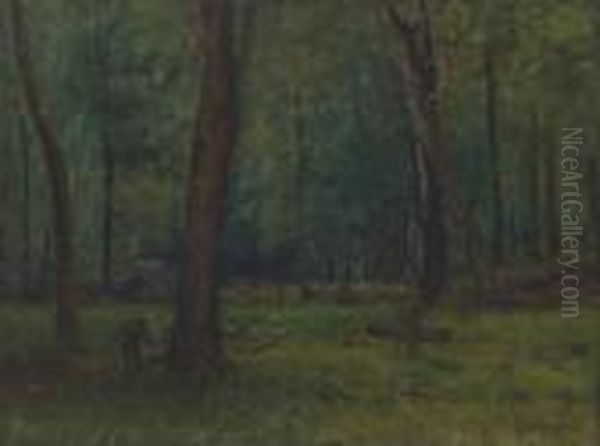 Wood Interior, Keene Valley - view 1