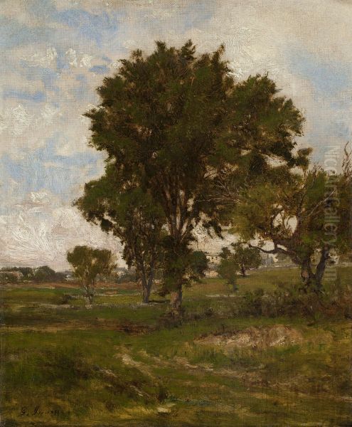 The Elm Tree - view 1