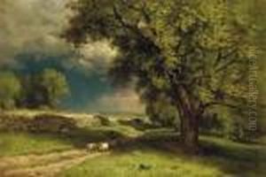 Landscape With Sheep by George Inness
